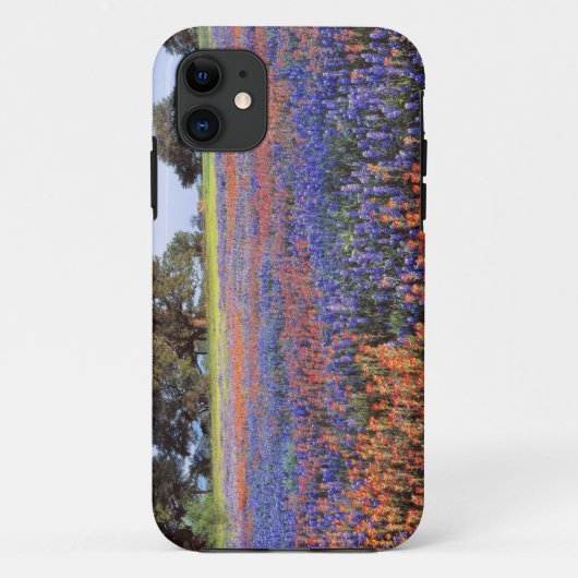 VS, Texas, Llano. Blauwbijen en robeboten Case-Mate iPhone Case (Achterkant)