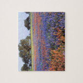 VS, Texas, Llano. Bluebonnets en redbonnets Legpuzzel (Verticaal)