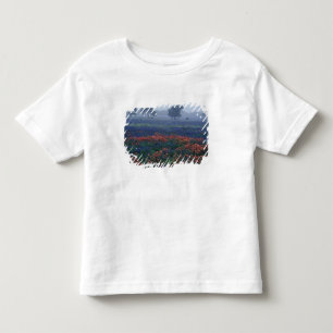 VS, Texas, nabij Lytle Fog, eiken, blauwe kapjes Kinder Shirts