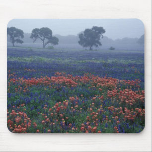 VS, Texas, nabij Lytle Fog, eiken, blauwe kapjes Muismat