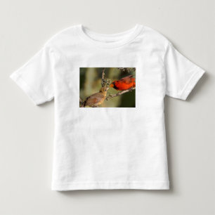 VS, Texas, Rio Grande Valley, McAllen. Gepaard Kinder Shirts