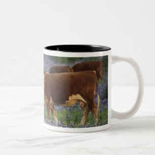 VS, Texas, Texas Hill Country, Hereford Tweekleurige Koffiemok