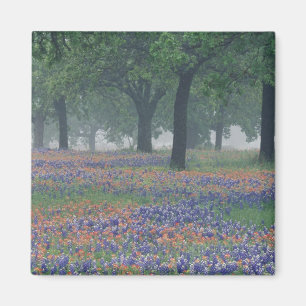 VS, Texas, Texas Hill Country Uitgestrekt veld Magneet