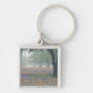 VS, Texas. Texaspenseel en bluebonnets Sleutelhanger