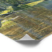 VS, Utah, Ashley National Forest, High Uintas Poster (Hoek)