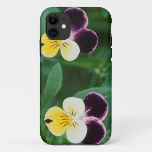 VS, Utah, Cache Valley, Johnny Jump Up iPhone 11 Hoesje