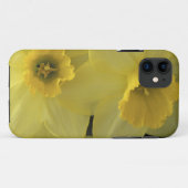 VS, Utah, Cache Valley Narcissen Case-Mate iPhone Case (Achterkant (horizontaal))