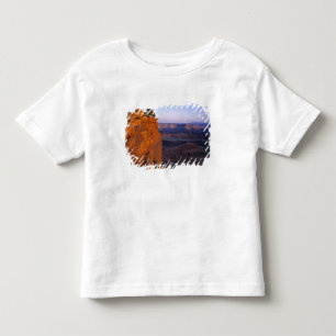 VS, Utah, Dead Horse Point SP. Laat licht kleurt Kinder Shirts