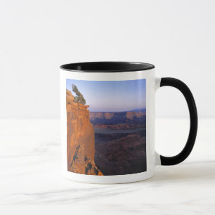 VS, Utah, Dead Horse Point SP. Laat licht kleurt Mok