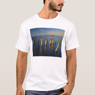 VS, Utah, Great Basin, Saltair, Great Salt T-shirt
