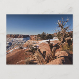 VS, Utah, Moab. Nationaal park Canyonlands, Briefkaart