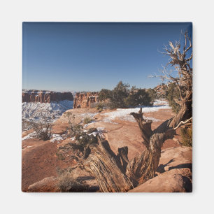 VS, Utah, Moab. Nationaal park Canyonlands, Magneet