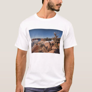 VS, Utah, Moab. Nationaal park Canyonlands, T-shirt