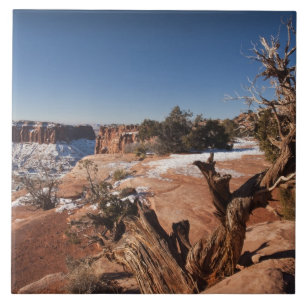 VS, Utah, Moab. Nationaal park Canyonlands, Tegeltje