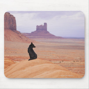 VS, Utah, Monument Valley, Dog die op rots zit Muismat