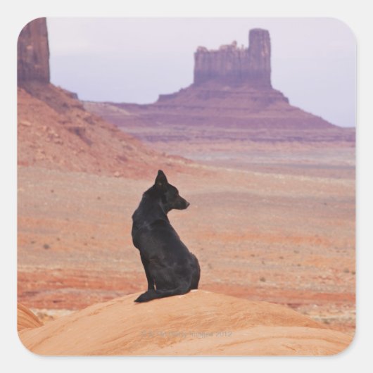 VS, Utah, Monument Valley, Dog die op rots zit Vierkante Sticker (Voorkant)