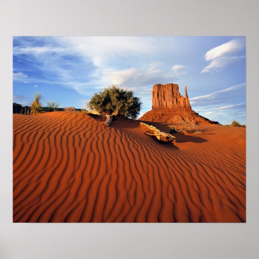 VS, Utah, Monument Valley. Wind creëert Poster (Voorkant)
