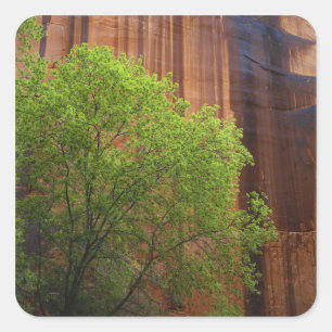 VS, Utah, Paria Canyon- Vermillion Cliffs Vierkante Sticker