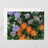 VS, Utah, Uinta-Wasatch-Cache National Forest 3 Briefkaart (Voorkant / Achterkant)