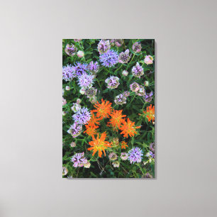 VS, Utah, Uinta-Wasatch-Cache National Forest 3 Canvas Afdruk