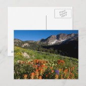 VS, Utah, Uinta-Wasatch-Cache National Forest Briefkaart (Voorkant / Achterkant)