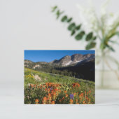 VS, Utah, Uinta-Wasatch-Cache National Forest Briefkaart (Staand voorkant)