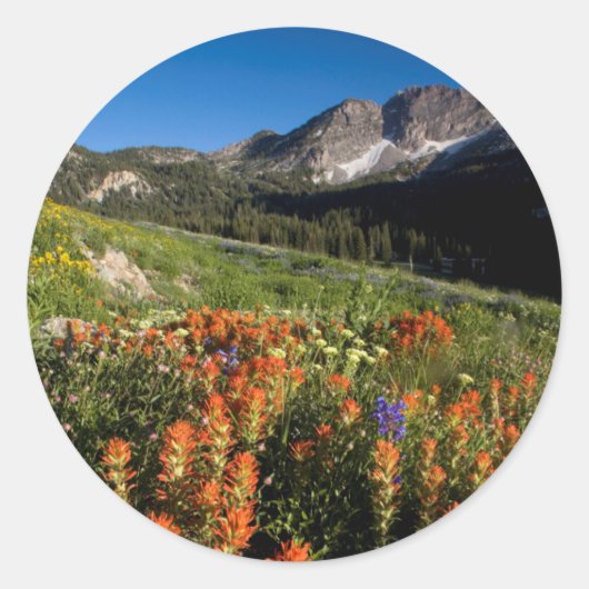 VS, Utah, Uinta-Wasatch-Cache National Forest Ronde Sticker (Voorkant)