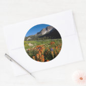 VS, Utah, Uinta-Wasatch-Cache National Forest Ronde Sticker (Envelop)
