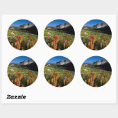 VS, Utah, Uinta-Wasatch-Cache National Forest Ronde Sticker (Vel)