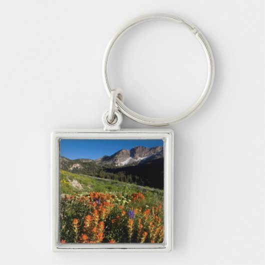VS, Utah, Uinta-Wasatch-Cache National Forest Sleutelhanger (Voorkant)