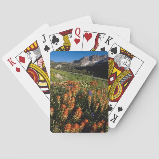 VS, Utah, Uinta-Wasatch-Cache National Forest Speelkaarten (Achterkant)