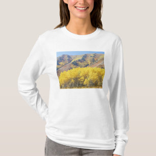 VS, Utah, Wasatch-Cache Nationaal Bos, T-shirt