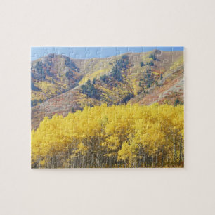 VS, Utah, Wasatch-Cache National Forest, Legpuzzel