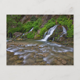 VS, Utah, Zion National Park. Big Springs in Briefkaart
