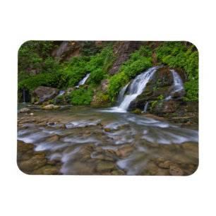 VS, Utah, Zion National Park. Big Springs in Magneet