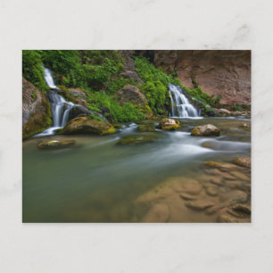 VS, Utah, Zion National Park. De Virgin Briefkaart