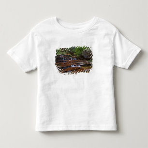 VS, Utah, Zion National Park. Schitterend vanaf 4 Kinder Shirts