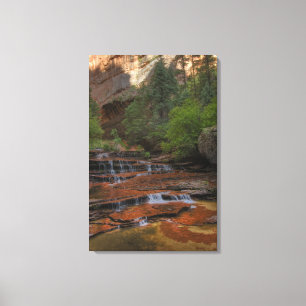 VS, Utah, Zion National Park. Schitterend vanuit d Canvas Afdruk