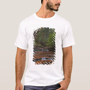 VS, Utah, Zion National Park. Schitterend vanuit d T-shirt