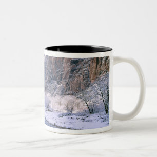 VS, Utah, Zion NP. Nieuwe sneeuw bedekt het canyon Tweekleurige Koffiemok