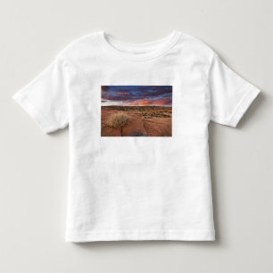 VS, Utah. Zonsondergang op Poison Spider Mesa nabi Kinder Shirts