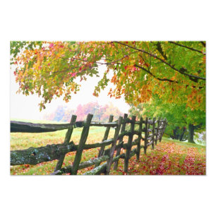 VS, Vermont. Hek onder herfstloof. Foto Afdruk