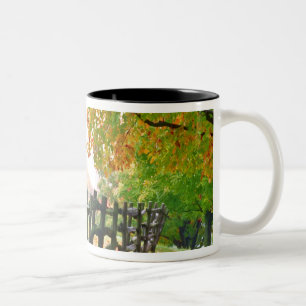 VS, Vermont. Hek onder herfstloof. Tweekleurige Koffiemok