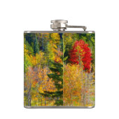 VS, Vermont. Herfst langs Highway 100. Heupfles (Achterkant)