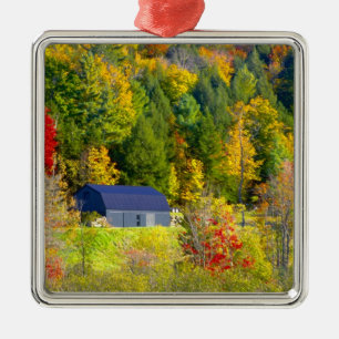 VS, Vermont. Herfst langs Highway 100. Metalen Ornament