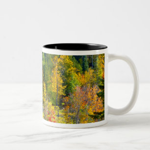 VS, Vermont. Herfstloof langs Highway 100. Tweekleurige Koffiemok