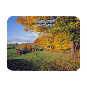 VS, Vermont, Jenne Farm. De herfst komt naar Jenne Magneet