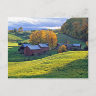 VS, Vermont, Jenne Farm. Rollende groene heuvels Briefkaart