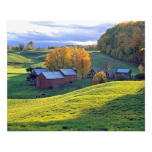 VS, Vermont, Jenne Farm. Rollende groene heuvels Foto Afdruk