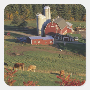VS, Vermont, Pomfret. Rode Schuur en herfst Vierkante Sticker